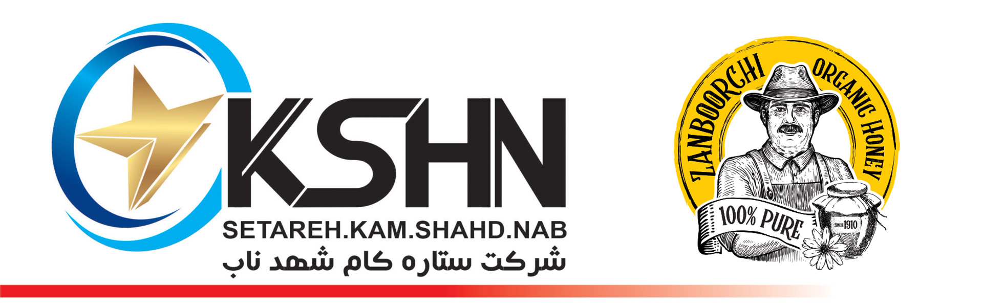 لوگو زنبورچی